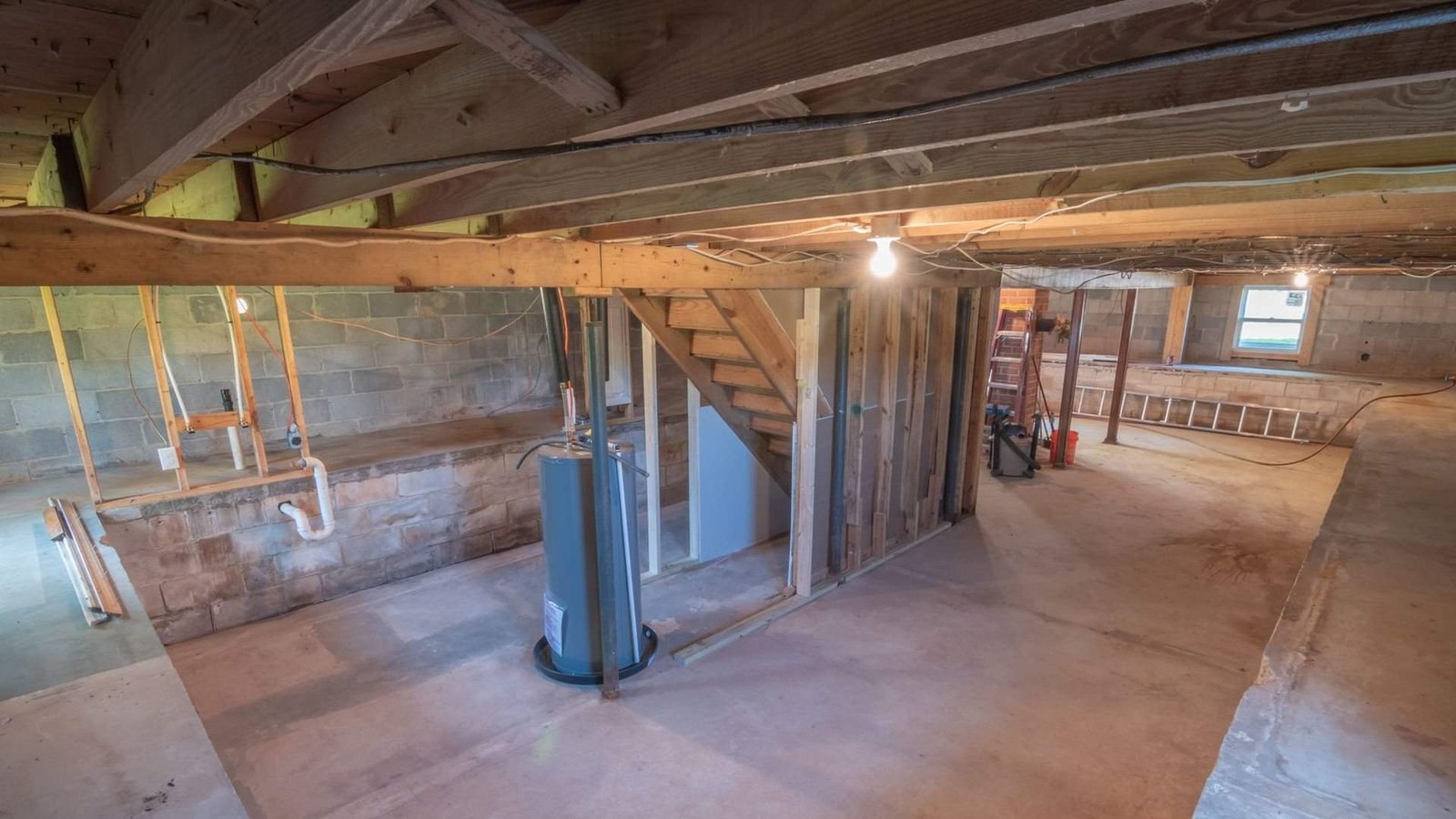 Basement mold removal in Cary NC: unfinished basement inspection