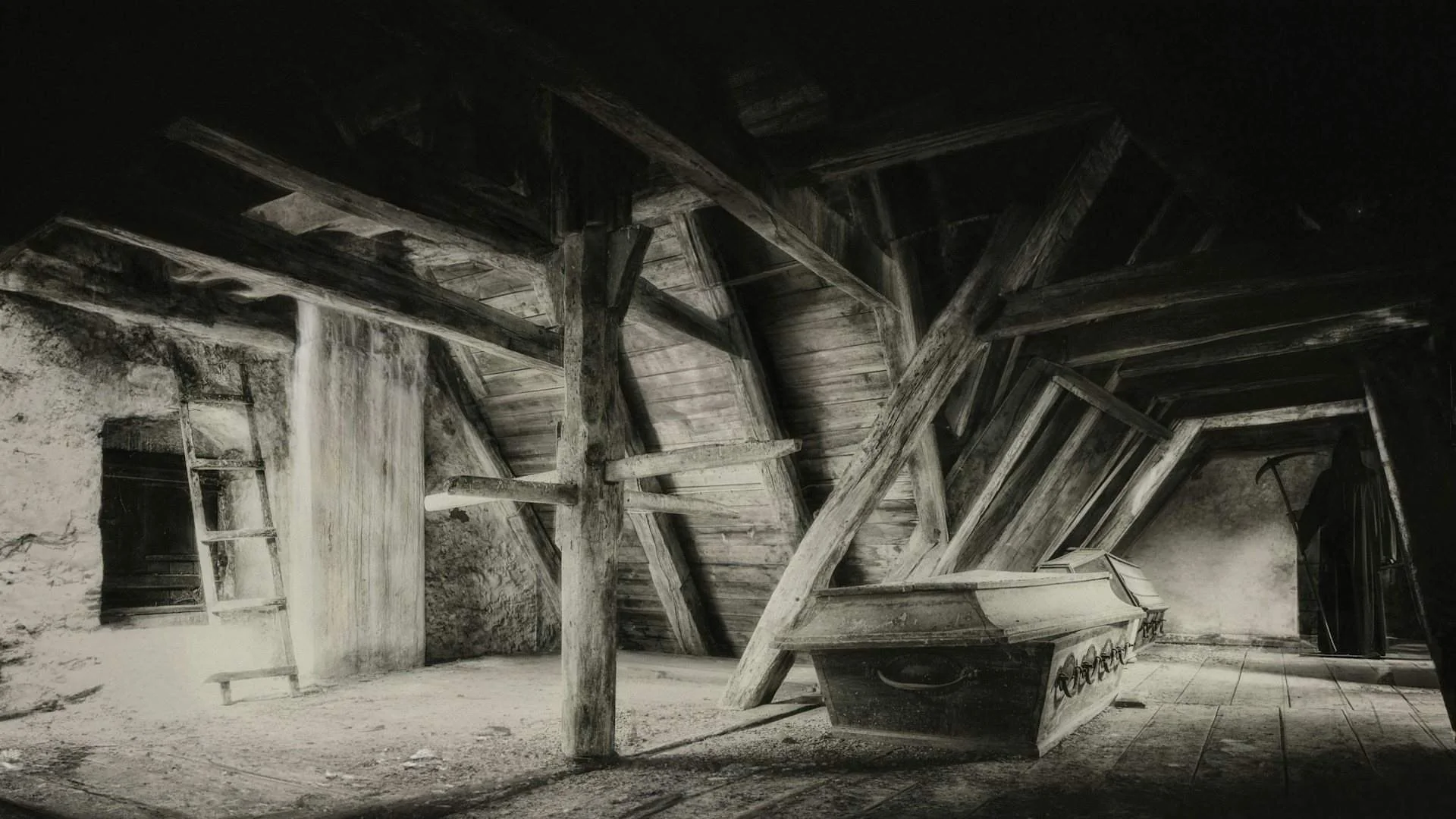 Attic mold removal in Cary NC: rafters and roof decking