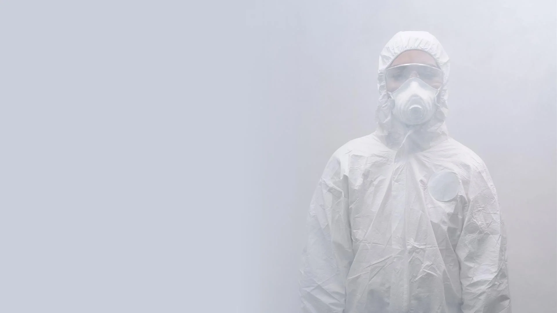 Mold removal services technician in Cary NC